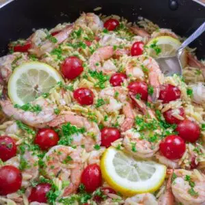 garlic and shrimp orzo