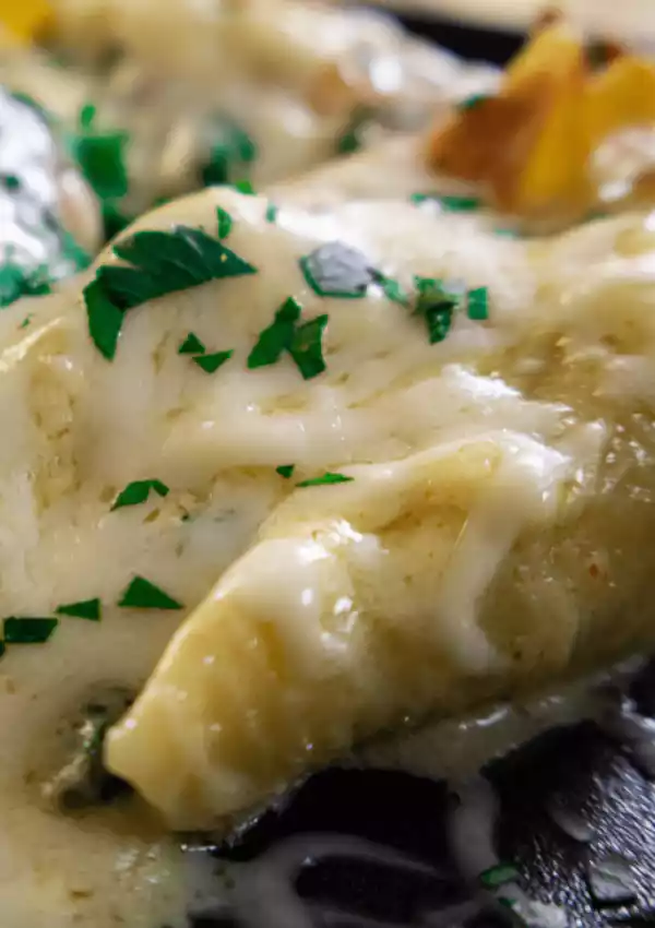 Chicken Alfredo Stuffed Shells